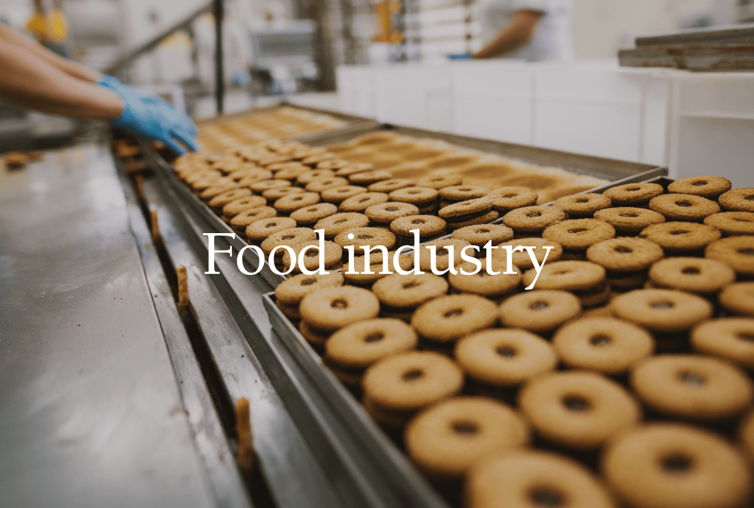 Food-industry-1